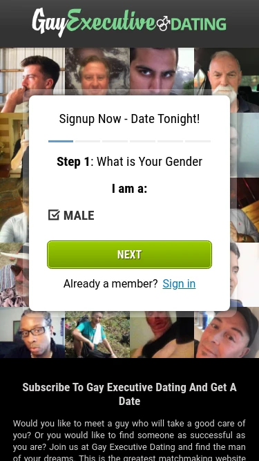 Gay Executive Dating