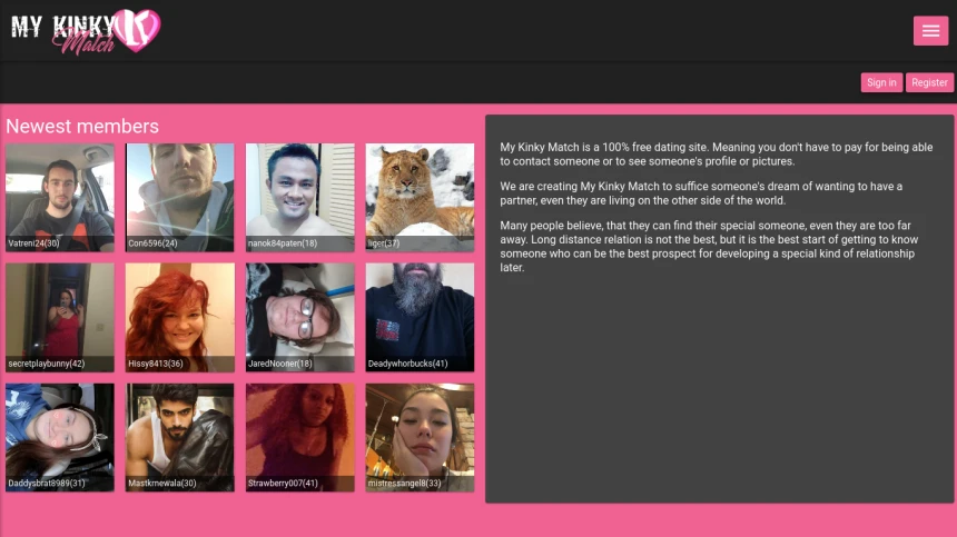 My Kinky Match