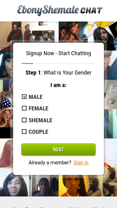 Ebony Shemale Chat