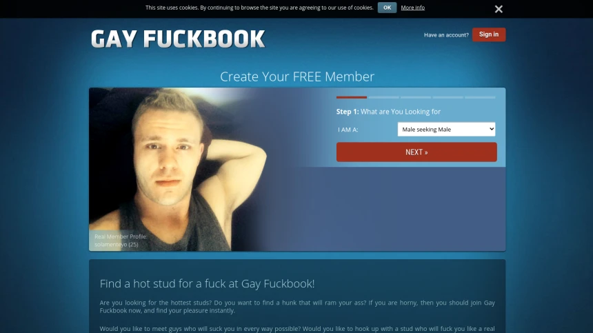Gay Fuckbook Profiles