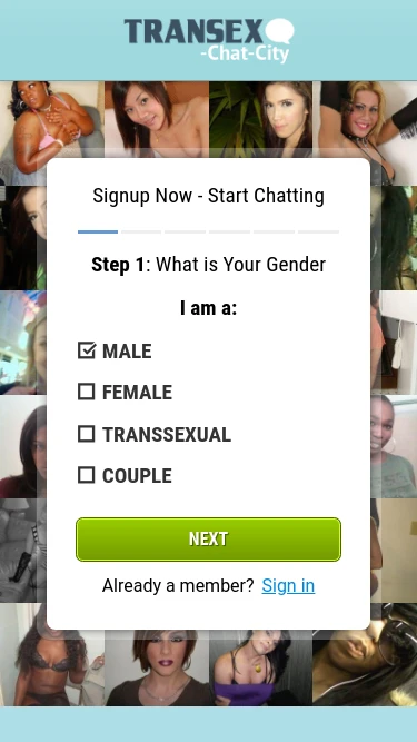 Transex Chat City