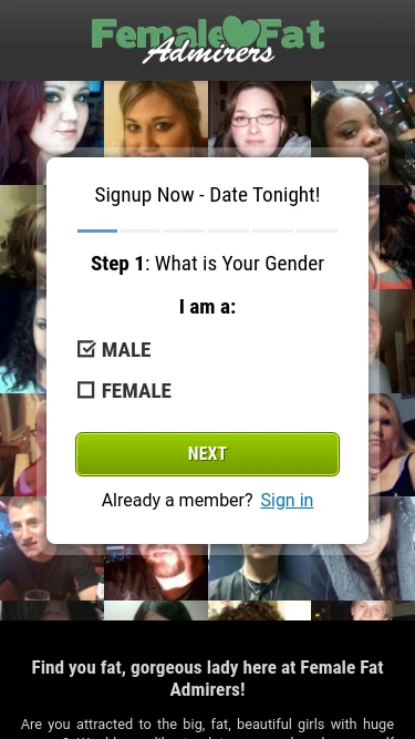 Female Fat Admirers