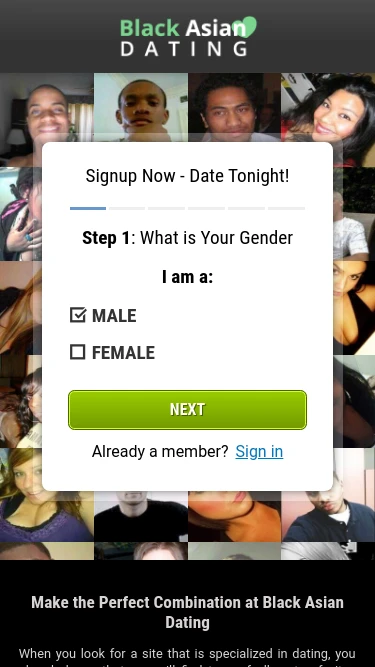 Black Asian Dating