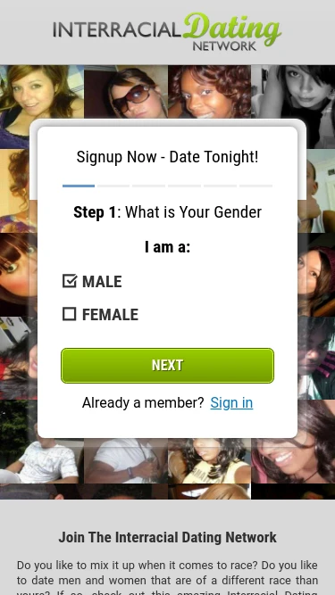 Interracial Dating Network