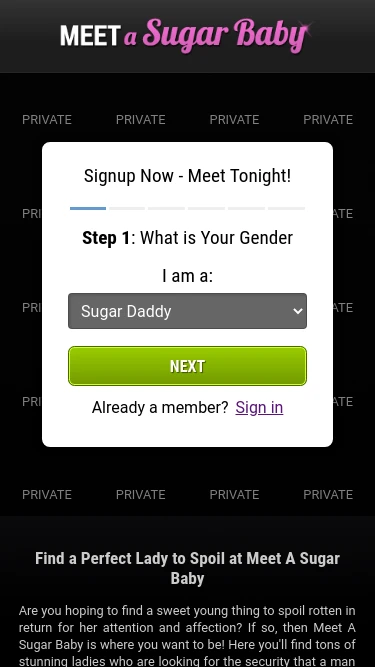 Meet a Sugar Baby
