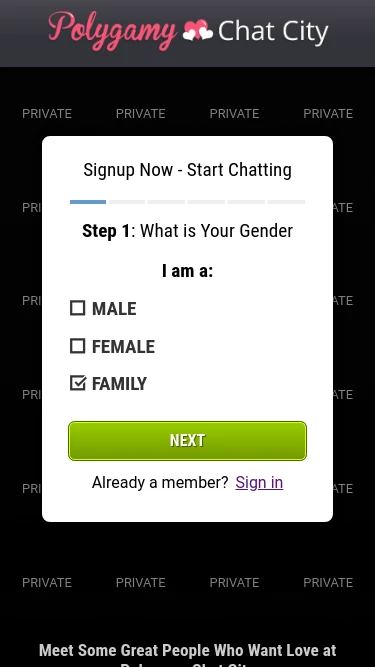 Polygamy Chat City