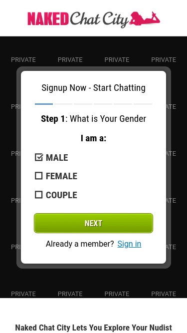Naked Chat City
