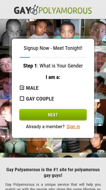 Gay Polyamorous