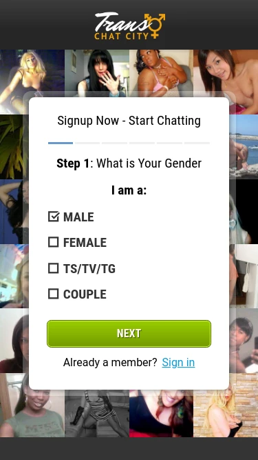 Trans Chat City 