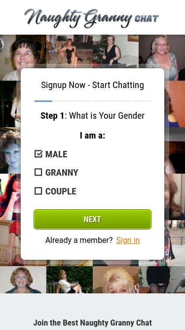Naughty Granny Chat