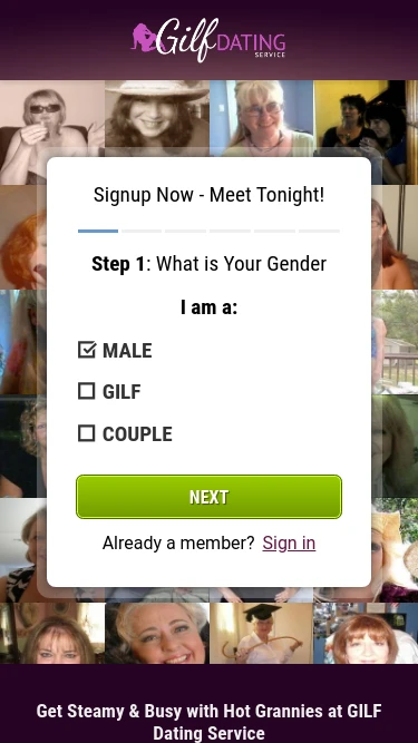 GILF Dating Service