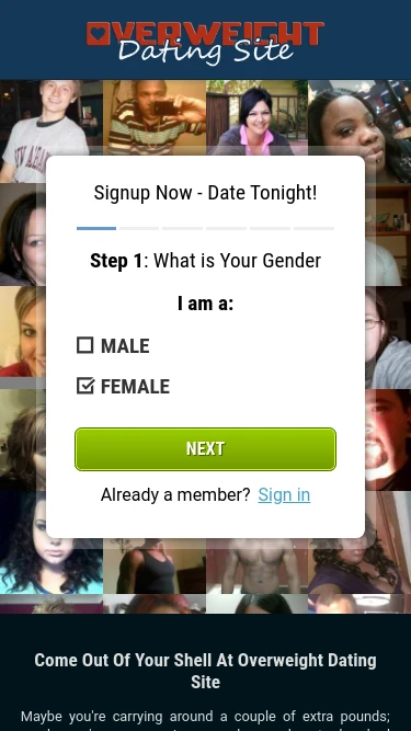 Overweight Dating Site