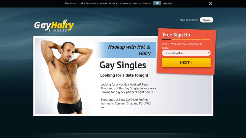 Gay Hairy Singles