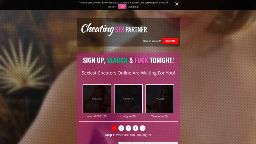 Cheating Sex Partner