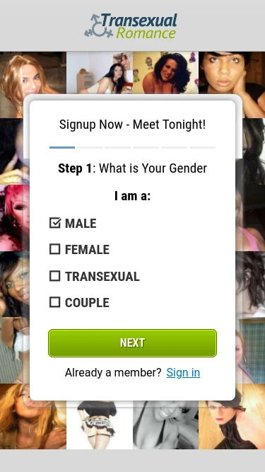Transexual Romance