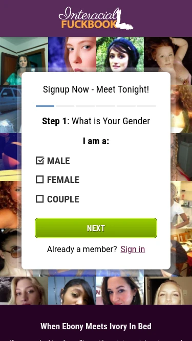 Interacial Fuckbook