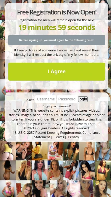 Cougar Cheaters