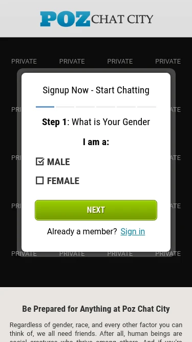 Poz Chat City
