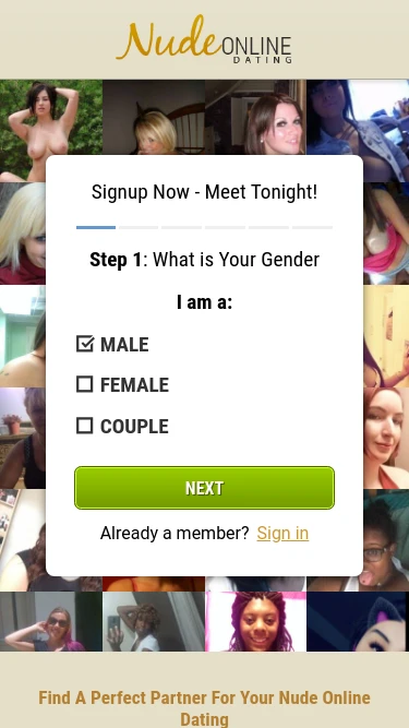 Nude Online Dating