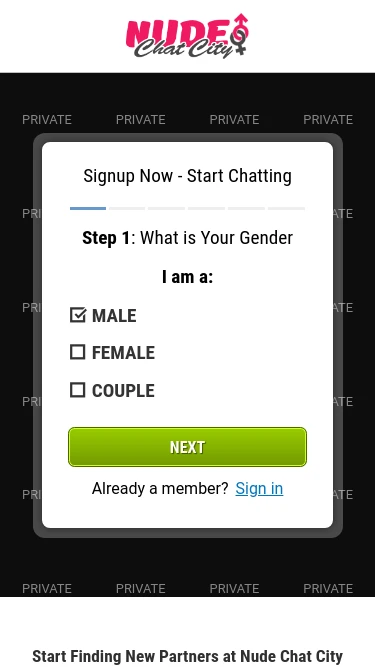 Nude Chat City