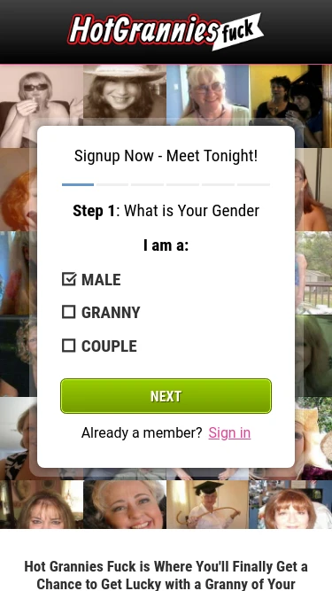 Hot Grannies Fuck