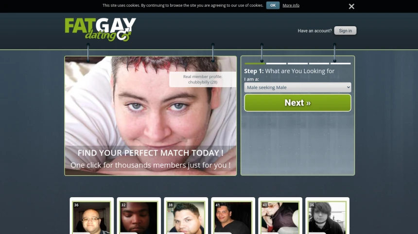 Fat Gay Dating