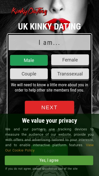BDSM Seduction