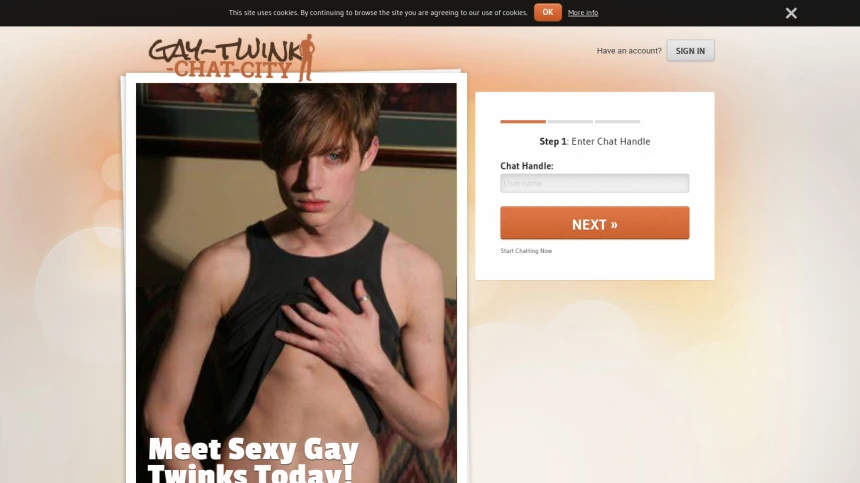 Gay Twink Chat City