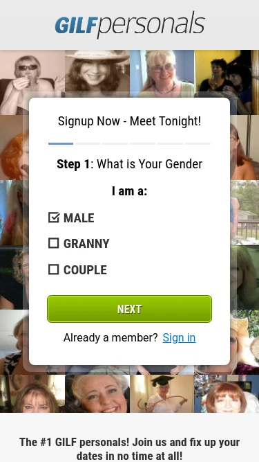 GILF Personals