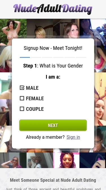 Nude Adult Dating
