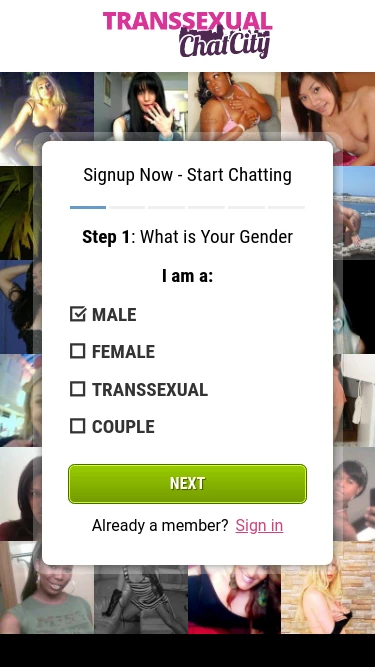 Transsexual Chat City