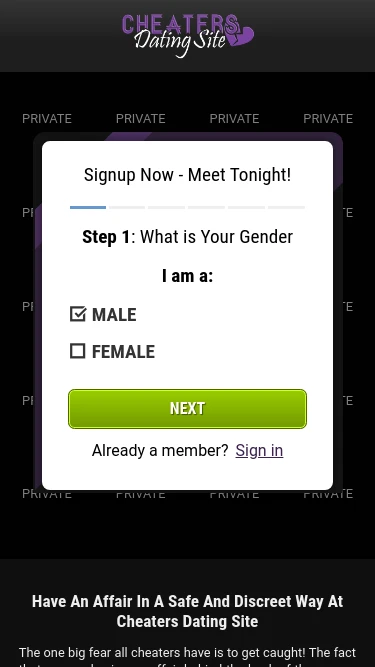 Cheaters Dating Site