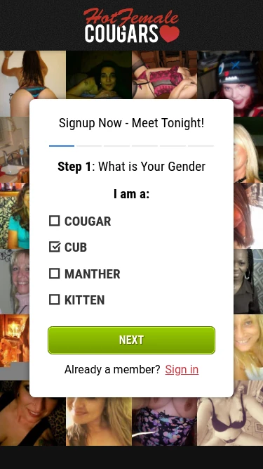 Hot Female Cougars